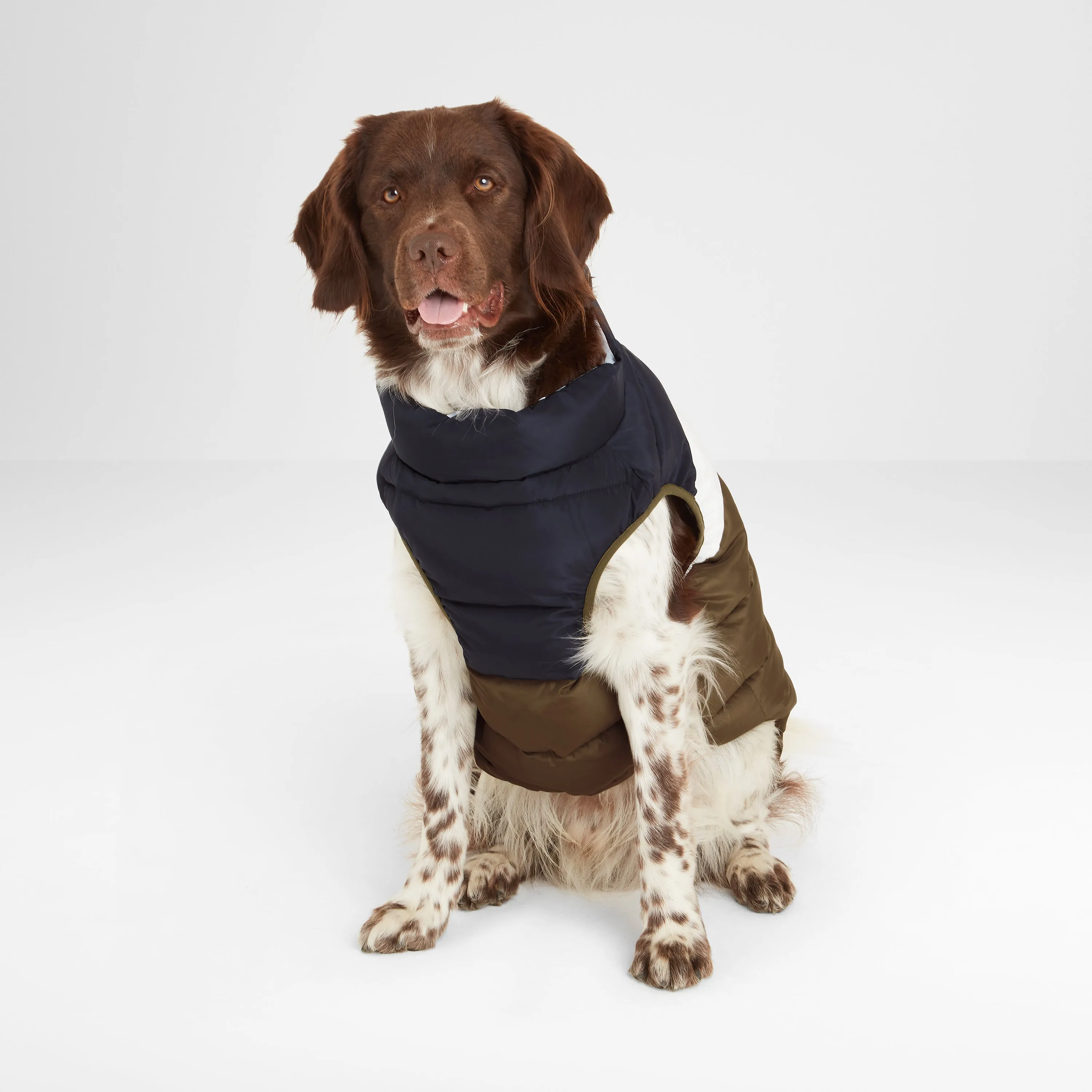 Fetch Padded Dog Coat L - Khaki/Dark Indigo/Optic White