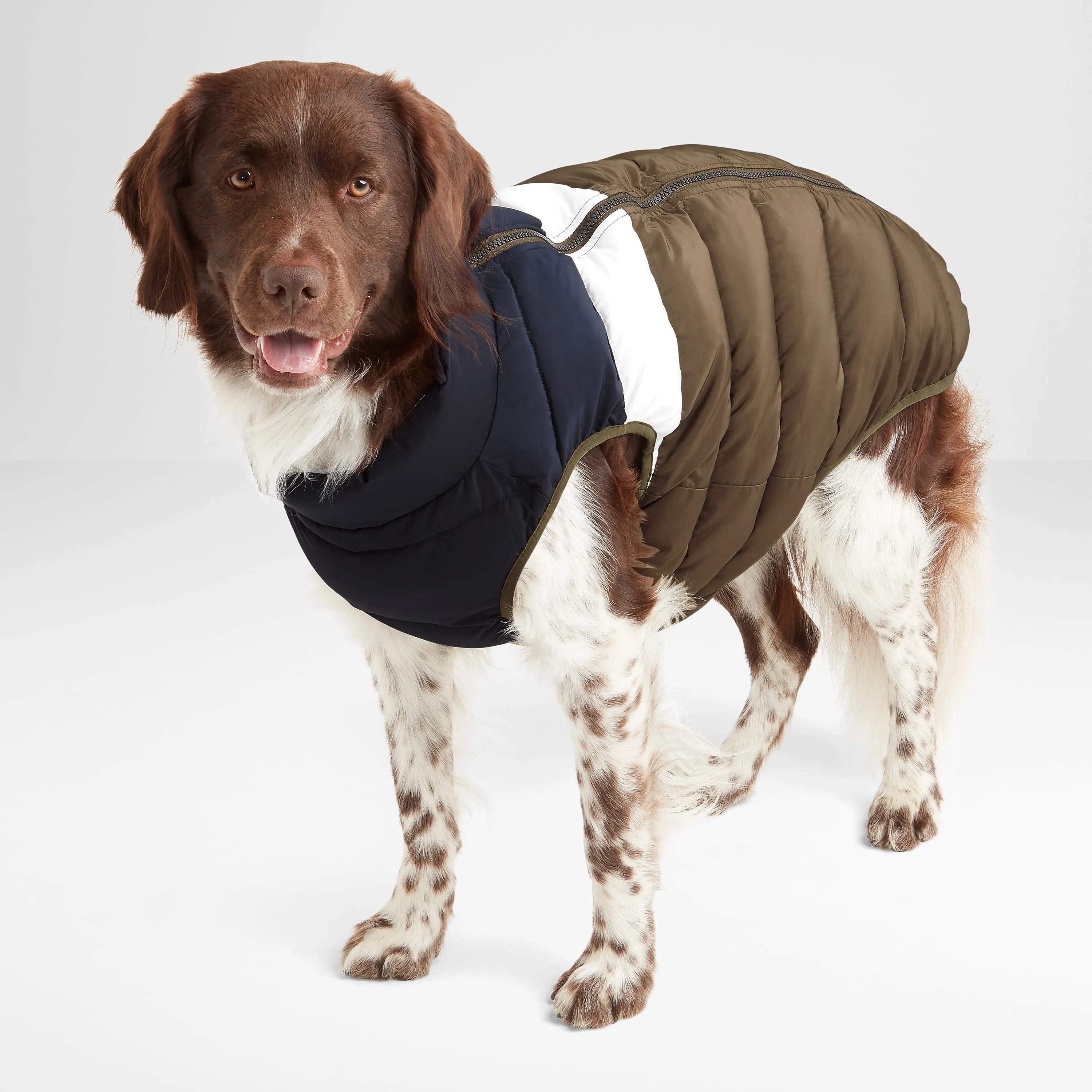 Fetch Padded Dog Coat L - Khaki/Dark Indigo/Optic White