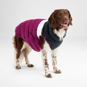 Fetch Padded Dog Coat L - Purple Berry/Dark Indigo/Optic White