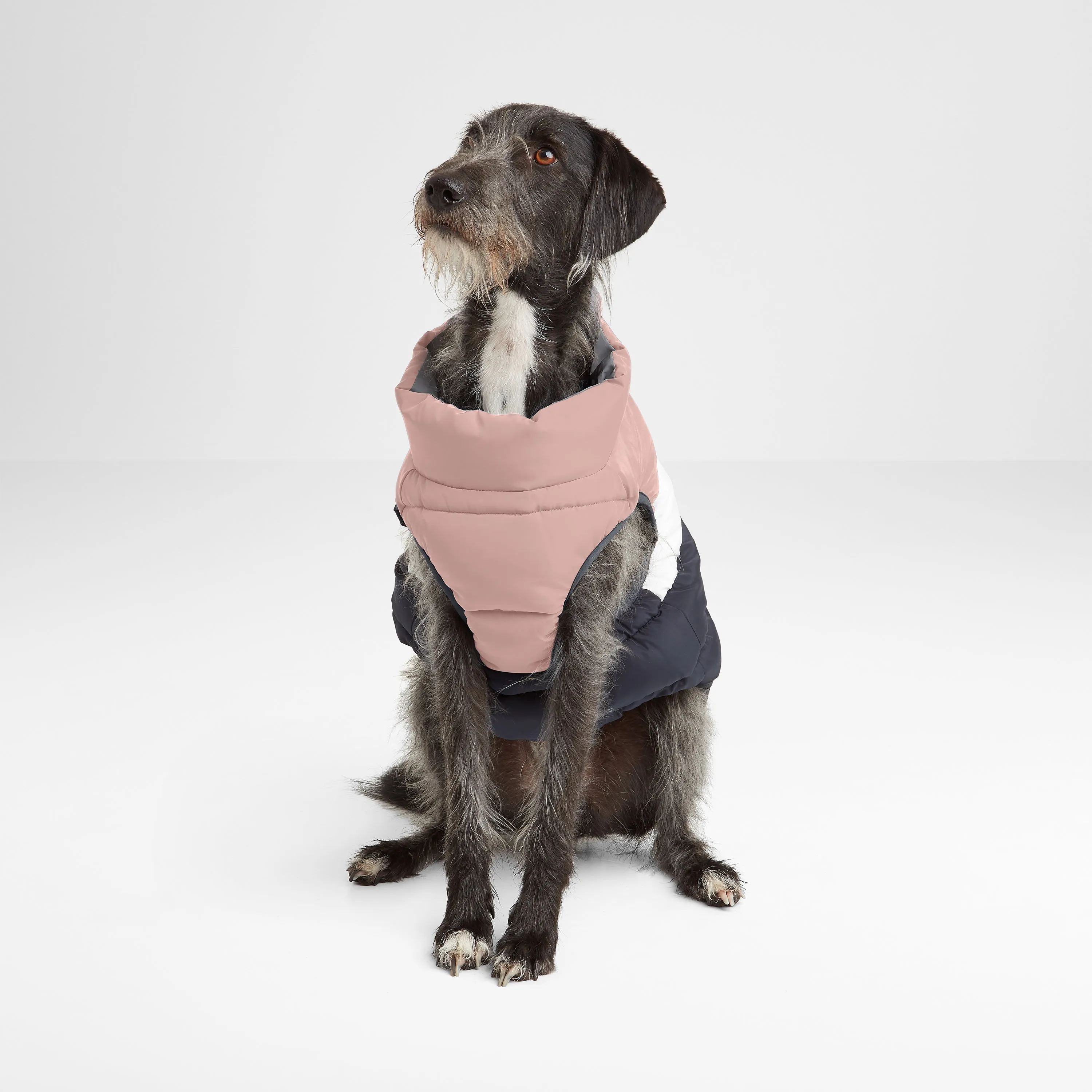 Fetch Padded Dog Coat XL - Faded Pink/Ice Grey/Washed Blue