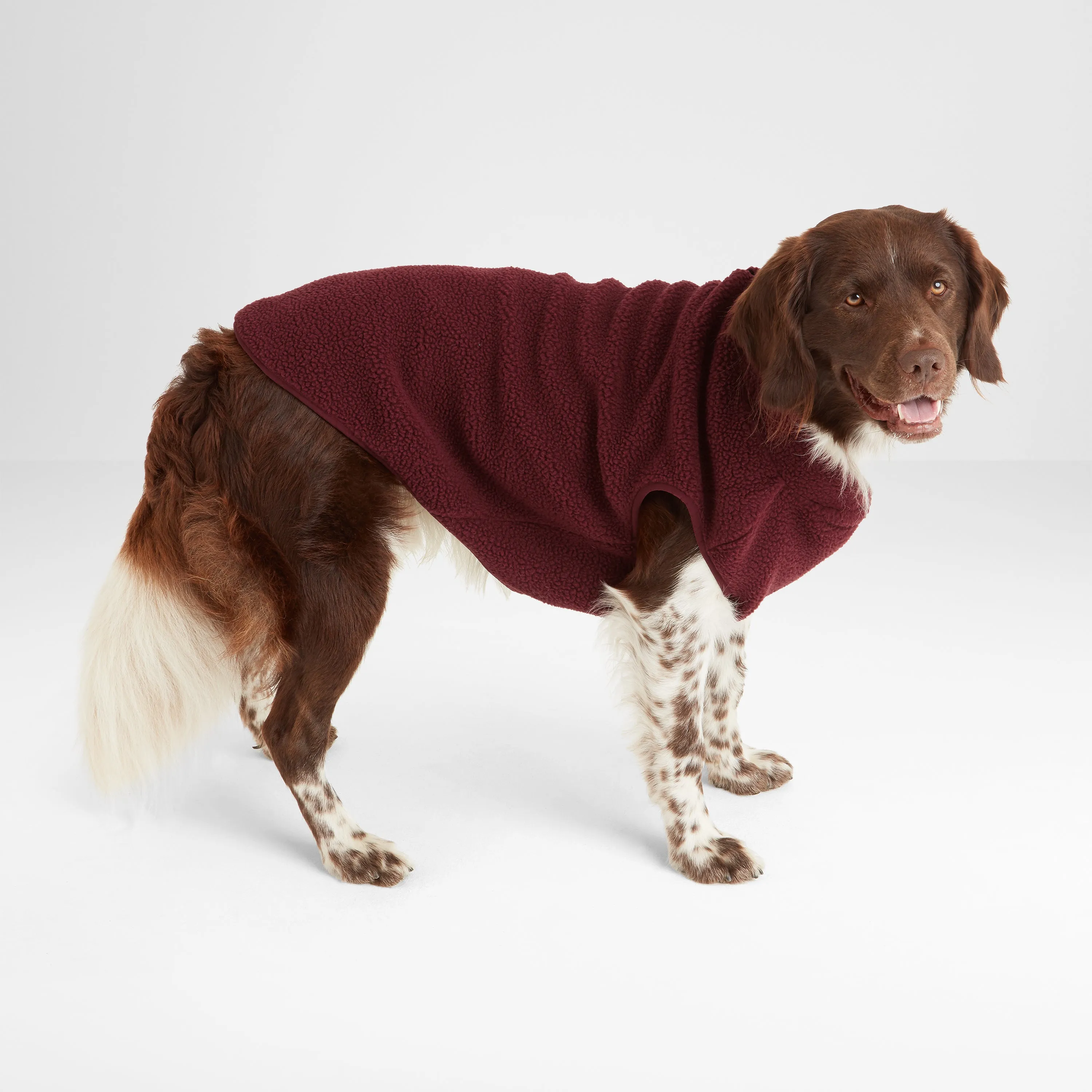 Rover Sherpa Dog Coat S - Maroon