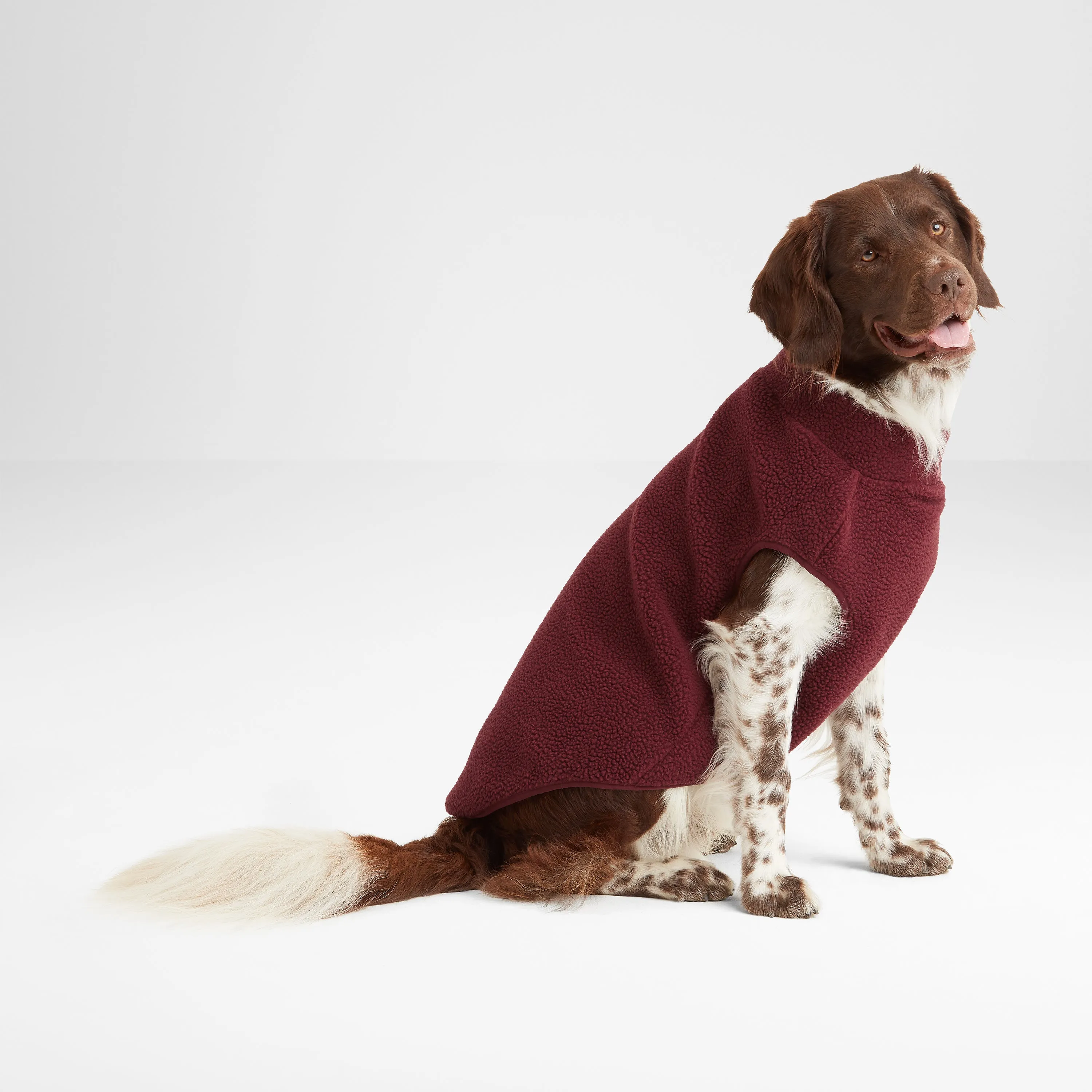 Rover Sherpa Dog Coat S - Maroon