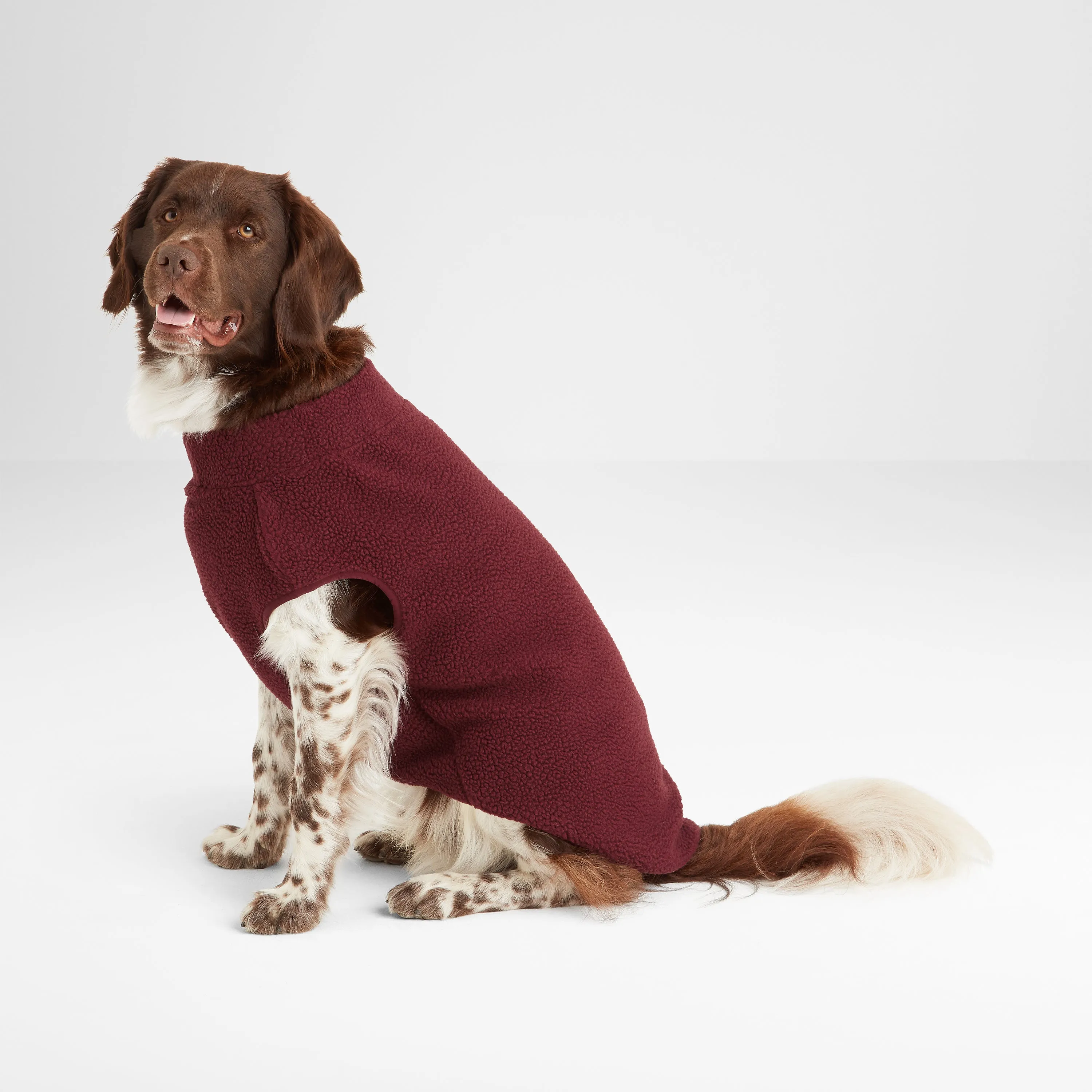 Rover Sherpa Dog Coat S - Maroon