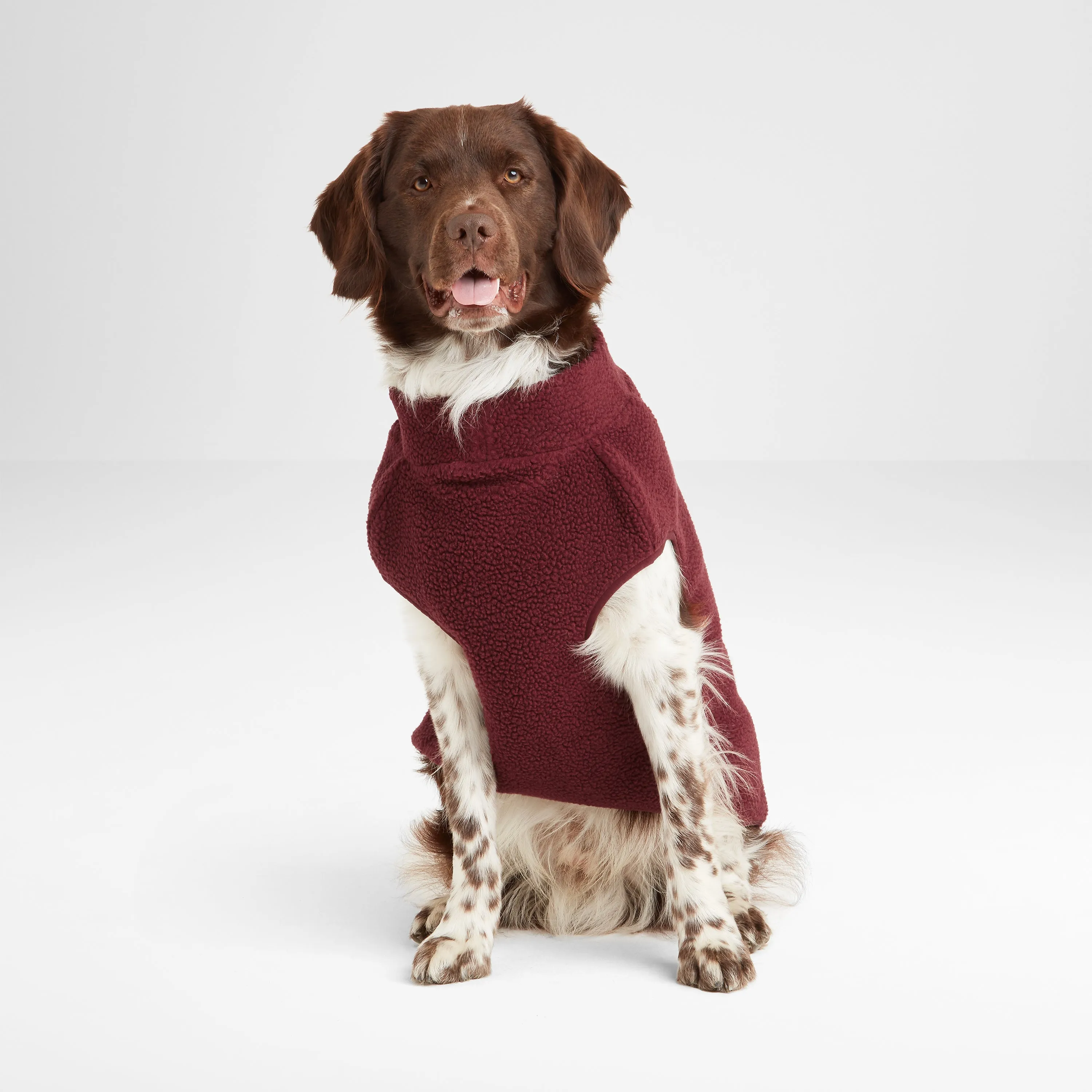 Rover Sherpa Dog Coat S - Maroon